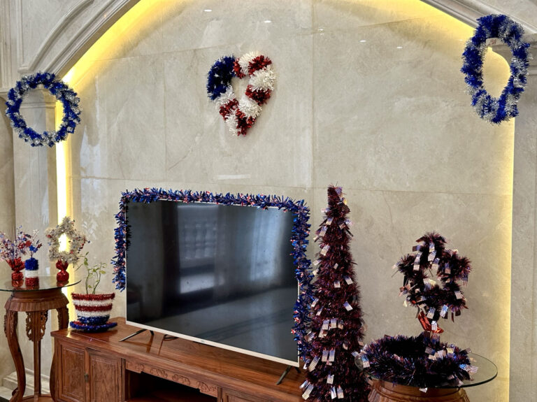 Celebrating Independence Day with HSENLIFE: Honoring Tradition with Patriotic Decor缩略图