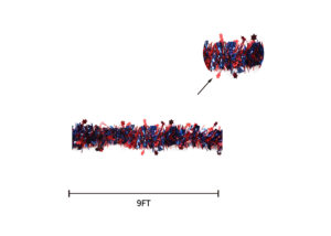 4th of July Patriotic Tinsel Decoration-Red Blue Tinsel for Independence Day插图