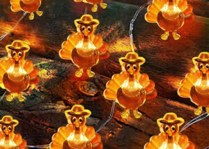 Thanksgiving Decoration-Acorn 3D Pumpkin Maple Leaf String Lights插图