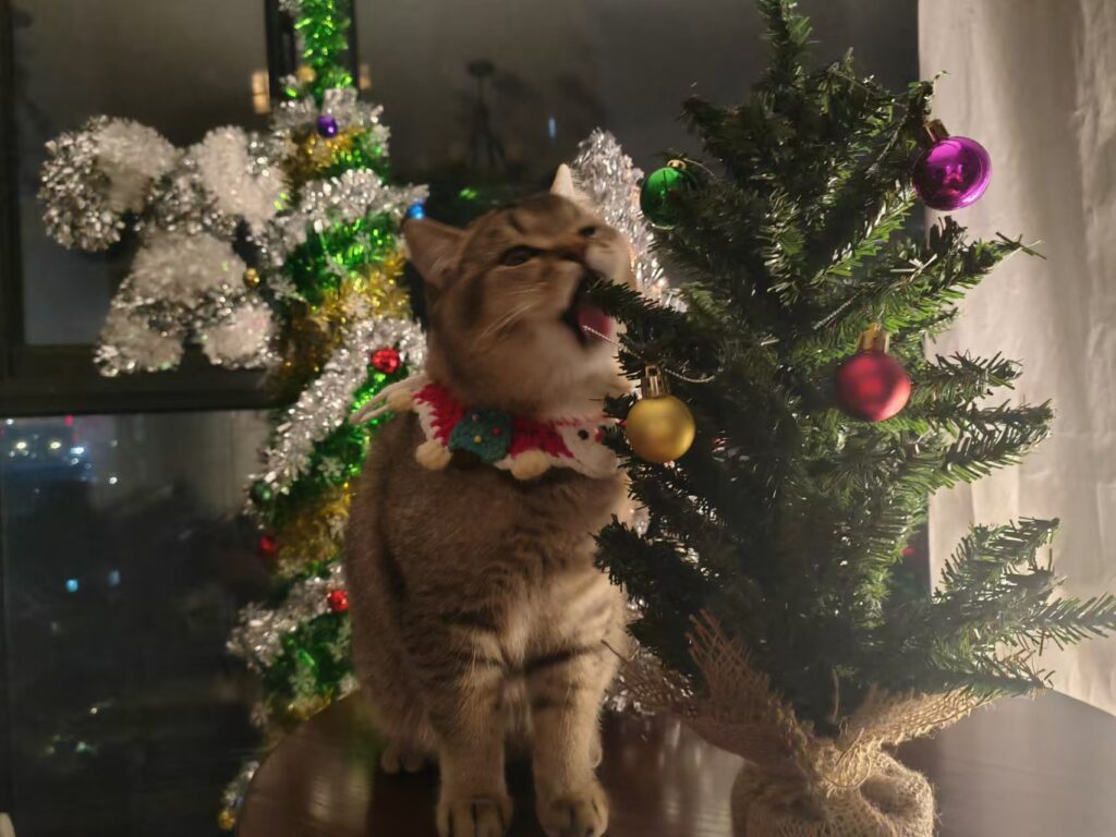 HSENLIFE: We Deliver Only High-Quality Holiday Decorations缩略图