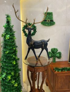 Celebrate St. Patrick’s Day with HSENLIFE: Unleashing the Irish Spirit插图2