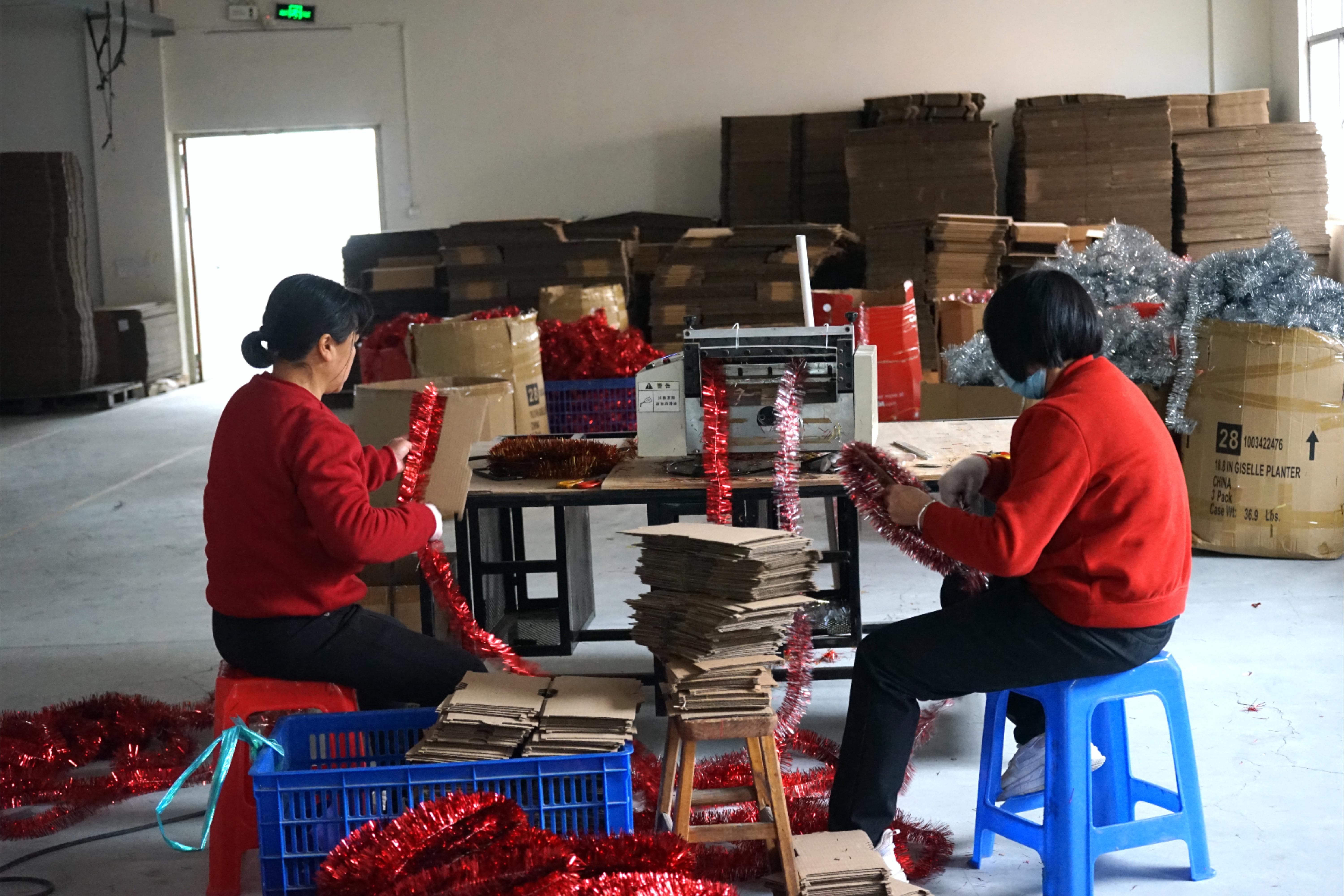 Celebrating Our SGS Factory Inspection Triumph: HSENLIFE’s Pledge to Quality & Integrity插图