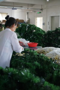 HSENLIFE China Factory: The Power of Women Shining in Exquisite Products插图1