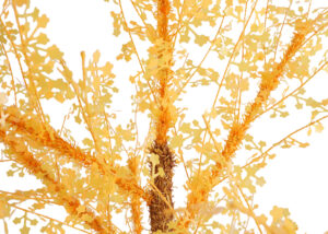 Jingle Jollys Artificial Tree-artificial silk tree-table top tree skirt插图3