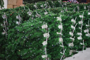 Manufacturing & OEM Capability插图1