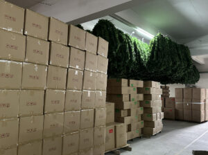 Global Clients & International Trust插图2